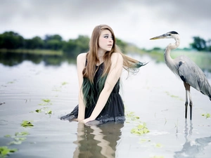lake, blur, heron, gray, Women
