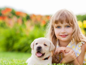 girl, Labrador Retriever, blurry background, Puppy
