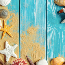 Pebble, starfish, Blue, boarding, Sand, Shells