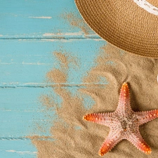 Sand, boarding, Shells, starfish, Hat