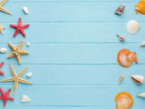 boarding, starfish, Shells