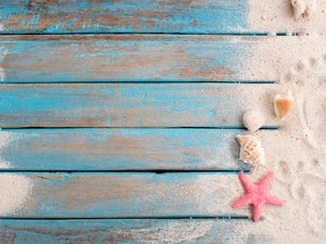 Sand, Shells, feet, boarding, traces, starfish