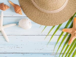 Shells, Hat, Palms, boarding, leaf, starfish