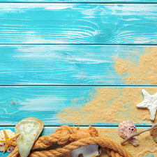 Shells, composition, Sand, boarding, line, starfish