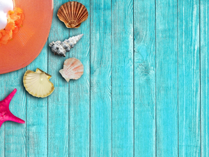 Blue, boarding, starfish, Hat, Shells