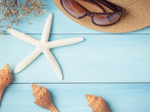 Glasses, boarding, Starfish, Hat, Shells