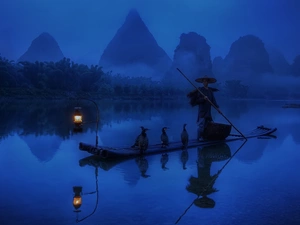 Night, Boat, cormorants, Human, River