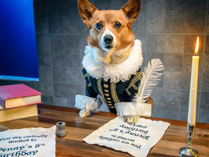 Books, Welsh corgi pembroke, candle, Table, dog, pen, Funny