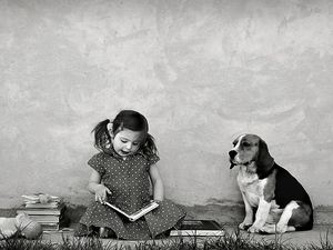girl, dog, Beagle, Books
