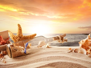 Beaches, Great Sunsets, Bottle, starfish, Shells, sea