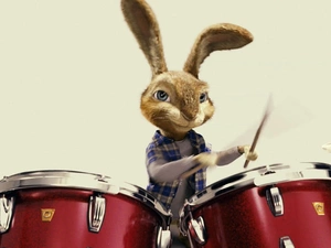 Bunny, Percussion