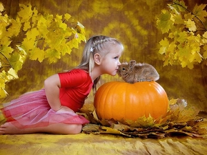 Bunny, girl, pumpkin