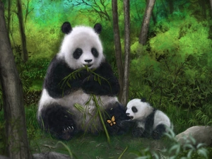 butterfly, pandas, bamboo