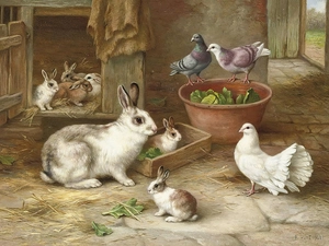 Rabbits, Cage, Edgar Hunt, Deep