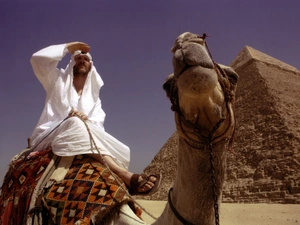 a man, Pyramid, Camel