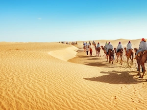 People, caravan, Desert, Camels