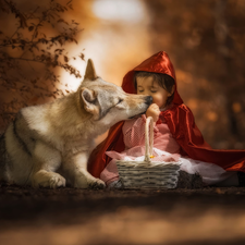 cape, girl, dog, red hot, Kid, Red hood, Czechoslovakian Wolfdog