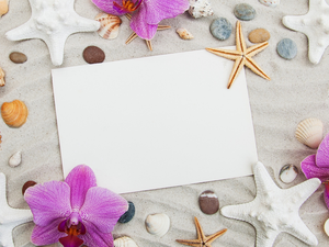 orchid, Shells, composition, starfish, Sand, orchids, Flowers, card