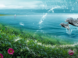 Two cars, sea, Flowers, dolphins