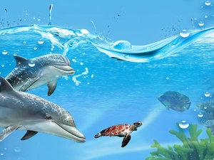Two cars, turtle, water, dolphins