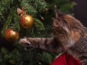 cat, christmas tree