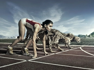 track, Cheetah, contest, Women, Sport
