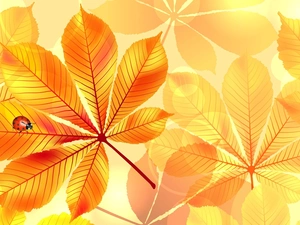 Leaf, ladybird, graphics, chestnut