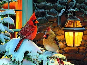 Snowy, Christmas, Cardinals, winter, birds