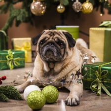 gifts, christmas, pug, baubles, dog