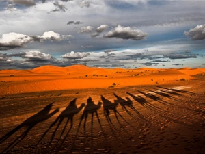 Mountains, clouds, shadow, Camels, Desert