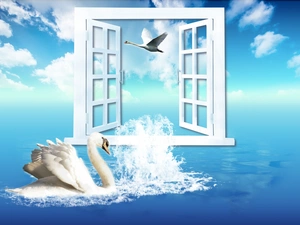 clouds, Swan, Window