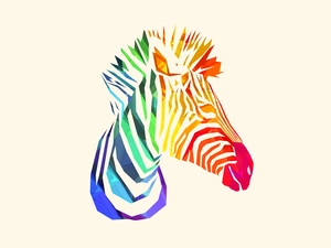 Coloured, Zebra