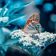 Colourfull Flowers, butterfly
