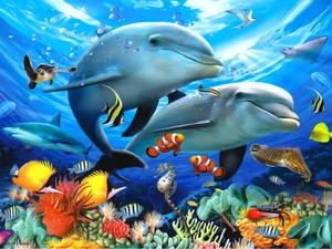 reef, fishes, dolphins, coral
