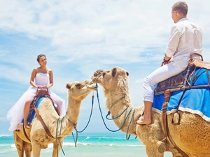 Young couple, sea, marriage, Camels