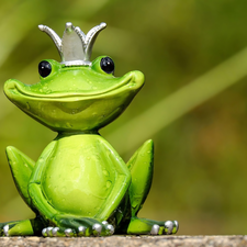 Crown, decoration, frog