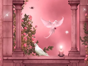 roses, Balcony, White, Deep, Two cars