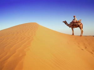 Desert, Camel, Arab