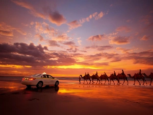 Desert, caravan, Automobile