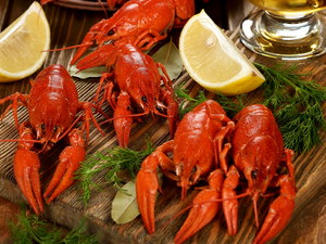 Dill, Crampons, lemons