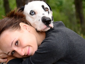 Women, Dalmatian, friendship, dog