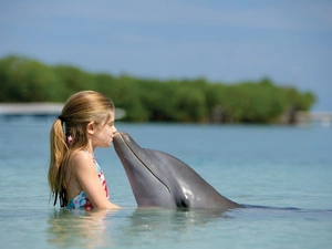 girl, water, kiss, dolphin