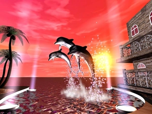dolphins, 2D