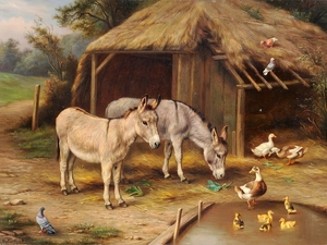 farm, Edgar Hunt, donkeys