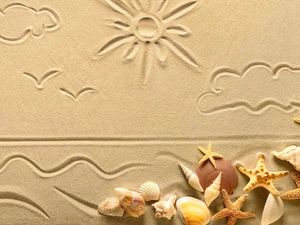 Sand, Shells, starfish, Drawing