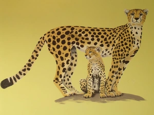 Drawing, Cheetah, spots