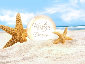holiday, Dreams, Sand, starfish, sea