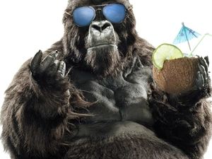 Drink, gorilla, Glasses