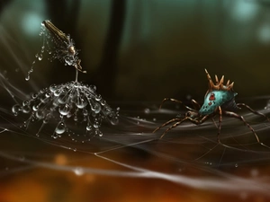Seeds, drops, Web, puffball, Spider