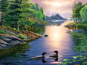 lake, trees, viewes, ducks
